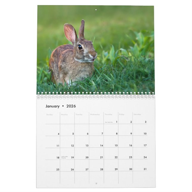 The WildRescue 2013 Calendar! Calendar (Jan 2026)