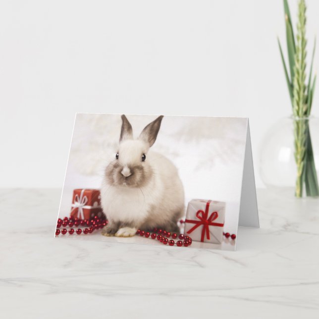 The WildRescue  Holiday Card! Card (Front)