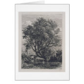 The Willow (etching) (Front)