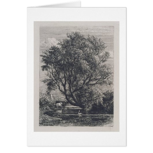 The Willow (etching) Cards (Front)