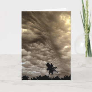 "The Wind of Change" Storm Clouds and a Palm Tree Card