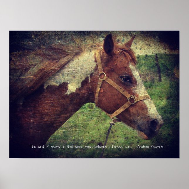 The Wind of Heaven, Flashy Poster (Front)