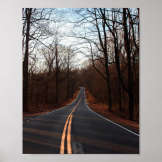The Winding Winter Road Poster