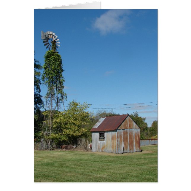 The Windmill and the Shed Cards (Front)