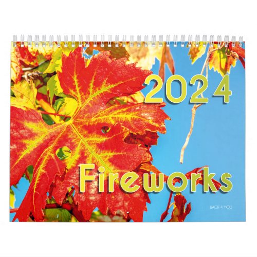 The Wine Calendar 2024 _ Fireworks