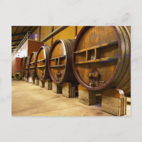 The wine cellar winery with big old wooden casks postcard