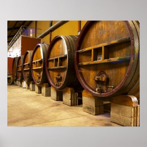 The wine cellar winery with big old wooden casks poster