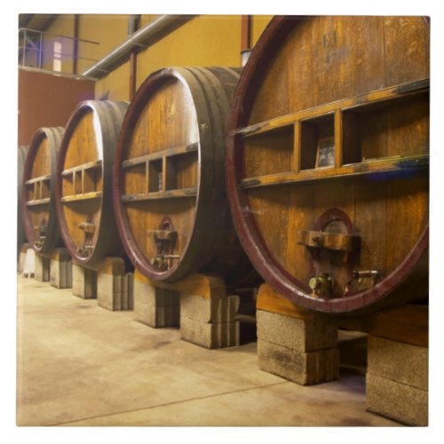 The wine cellar winery with big old wooden casks tile
