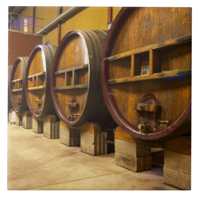 The wine cellar winery with big old wooden casks tile (Front)