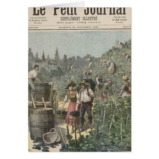 The Wine Harvest Cards (Front)
