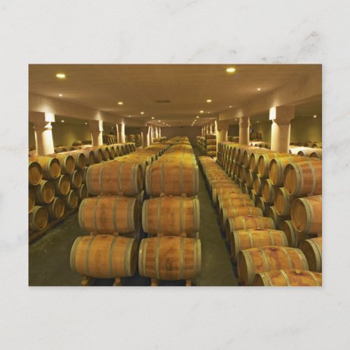 The winery barrel aging cellar _ Chateau Baron Postcard