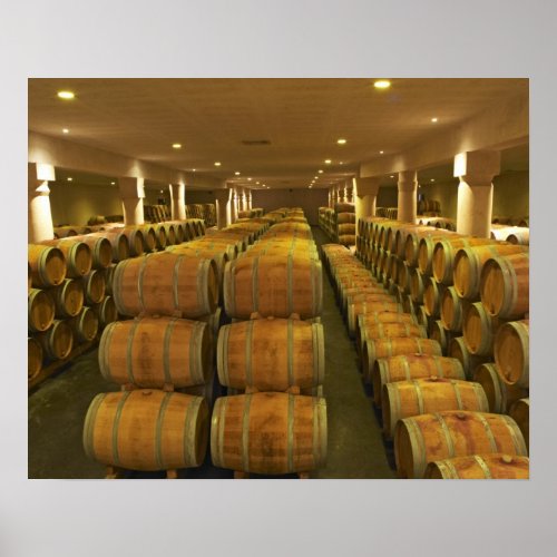 The winery barrel aging cellar _ Chateau Baron Poster