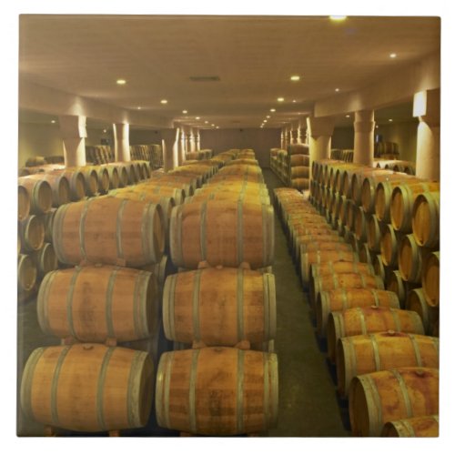 The winery barrel aging cellar _ Chateau Baron Tile