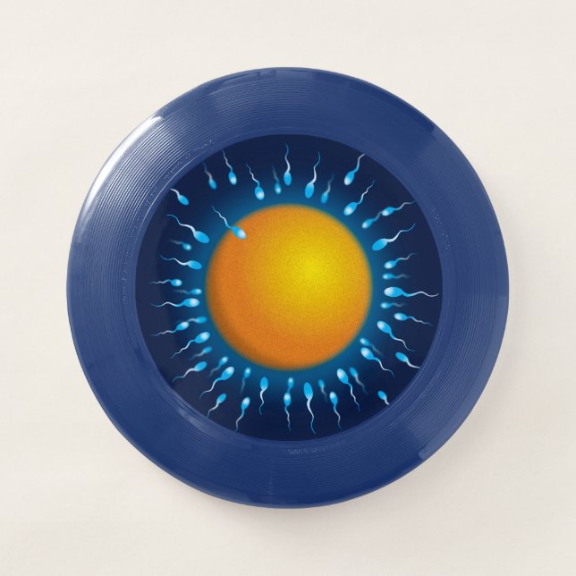 The Winner Wham-O Frisbee (Front)