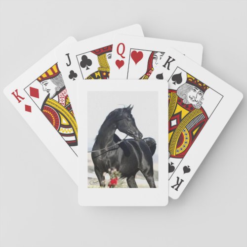The winning horse playing cards