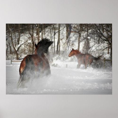 The Winter Chase Horse Poster