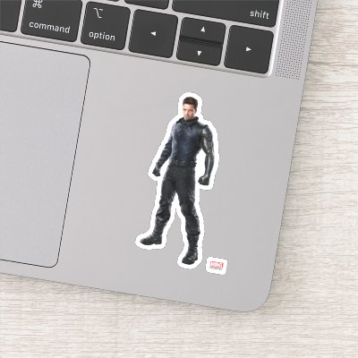 The Winter Soldier Character Art Sticker