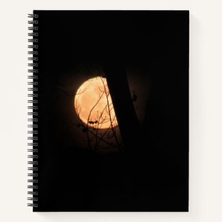 The Winter Solstice Moon Manifestation Journal