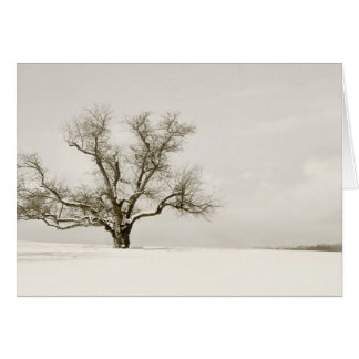 The Winter Tree - Blank
