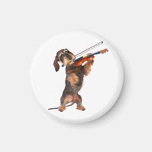 The Wirehaired Dachshund Playing A Violin Magnet