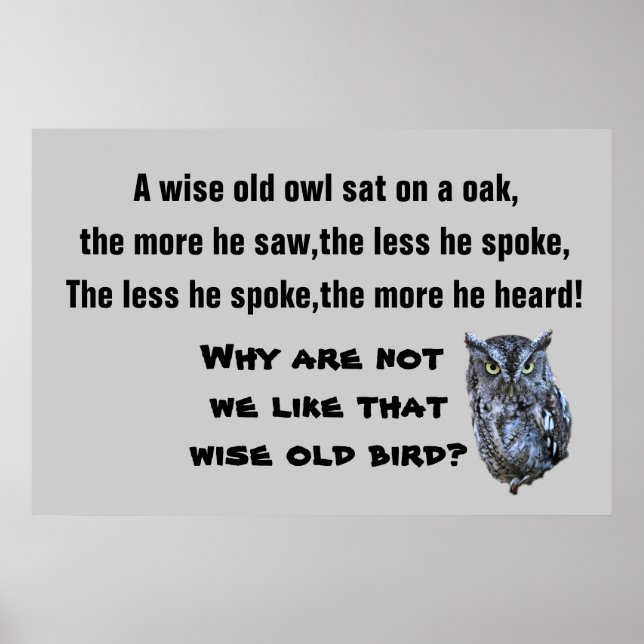 THE WISE OLD OWL poster (Front)