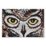 The Wise Owl Photo Print at Zazzle