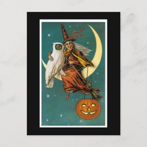 The Witch and Her Owl sitting on the Moon Postcard