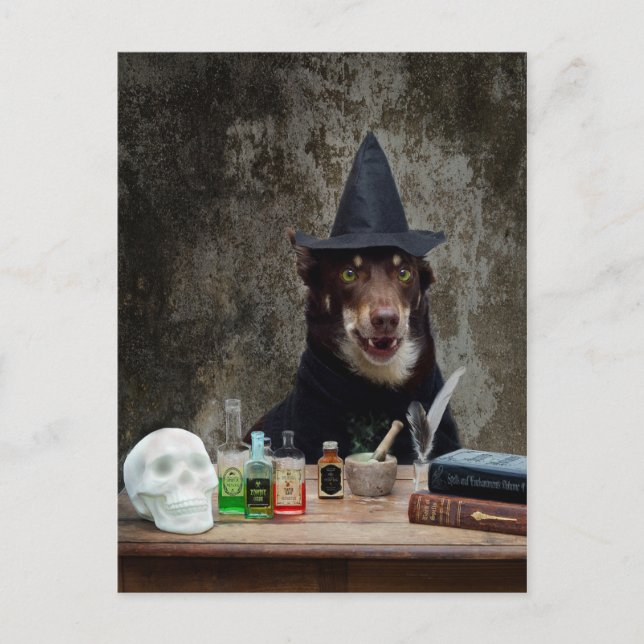 The Witch Postcard (Front)