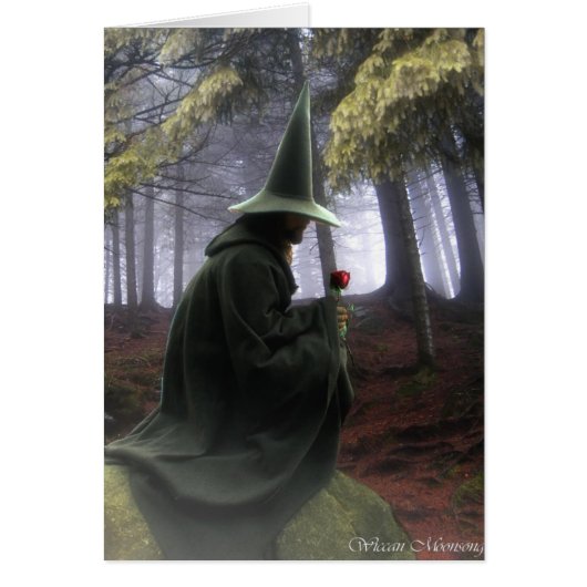 The Wizard Cards (Front)