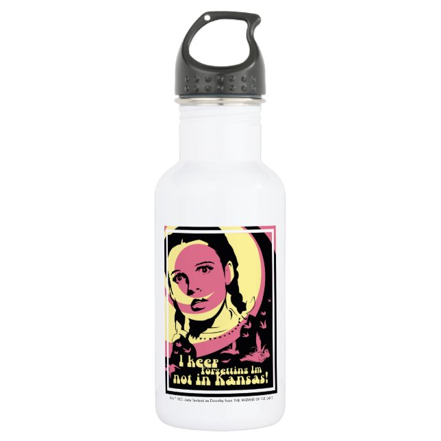 The Wizard Of Oz™ | I'm Not In Kansas Stainless Steel Water Bottle (Front)