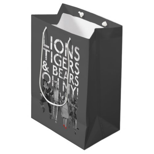 The Wizard Of Oz™ | Lions Tigers & Bears Oh My!