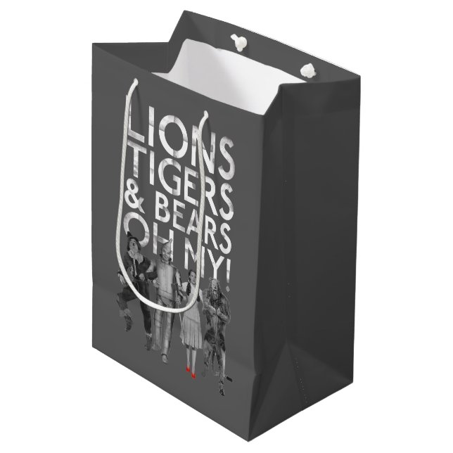 The Wizard Of Oz™ | Lions Tigers & Bears Oh My! Medium Gift Bag (Front Angled)