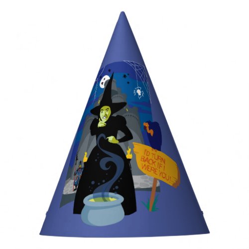The Wizard Of Ozâ  The Wicked Witch Party Hat