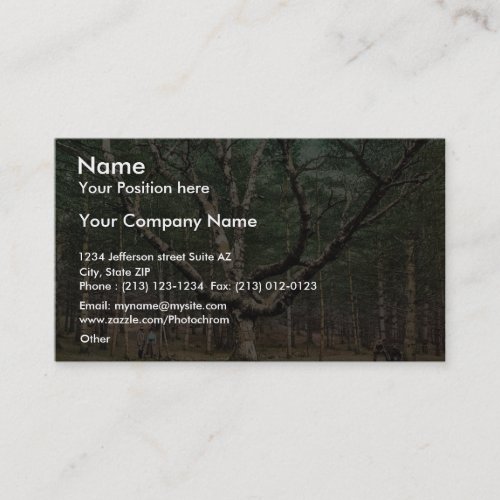 The Wizard tree, Cathedral Woods, Intervale, N.H. Business Card Template