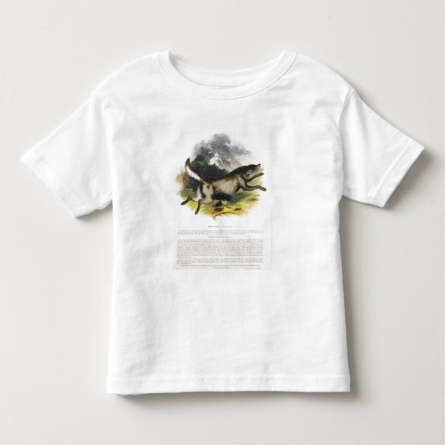 The Wolf (Canis lupus) educational illustration pu Toddler T-shirt (Front)
