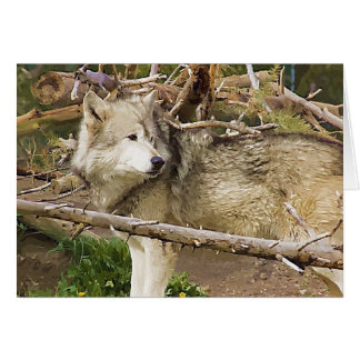 The Wolf Cards