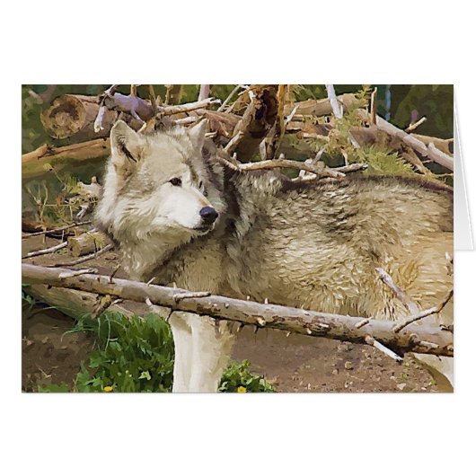 The Wolf Cards (Front Horizontal)