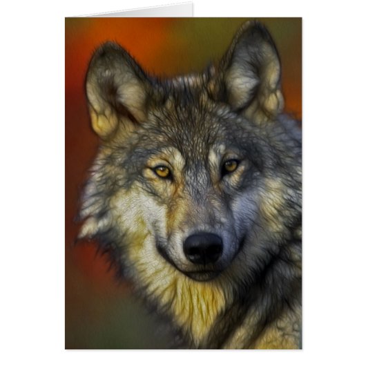 The Wolf Cards (Front)