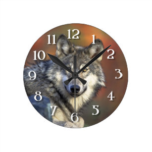 Wolf Wall Clocks | Zazzle