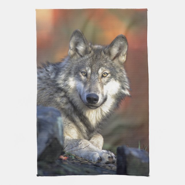 The Wolf Towel (Vertical)