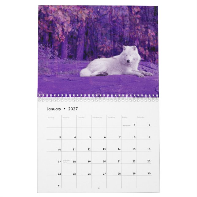 The Wolves of Canada (Calendar) Calendar (Jan 2027)