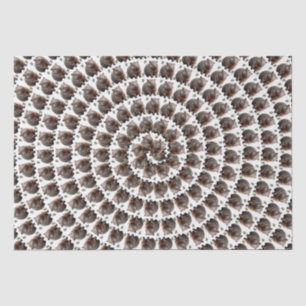 The Wombat Whirl: A Spiral of Wonder, Tissue Paper