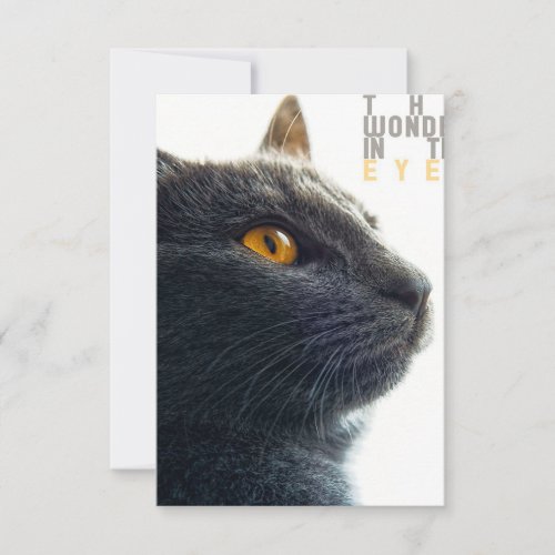 The wonder in the eyes Cat Lover RSVP Card