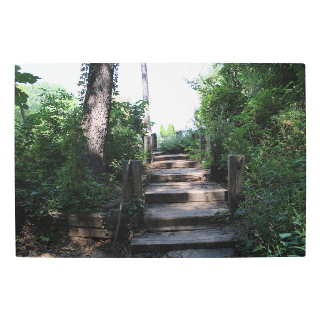 The Wooden Path Metal Wall Art (Front)