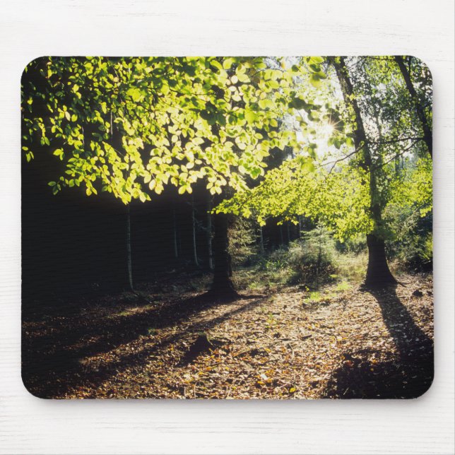 The Woods in Spring Mouse Pad (Front)