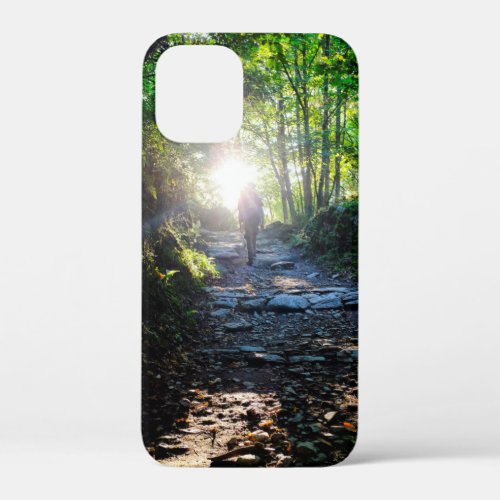 The woods of O Cebreiro iPhone 12 Mini Case