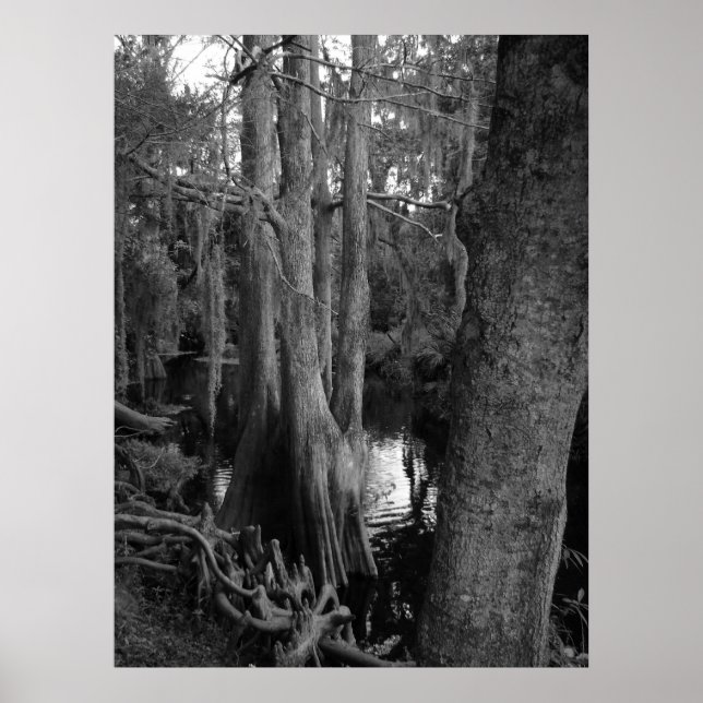 The Woods Poster (Front)