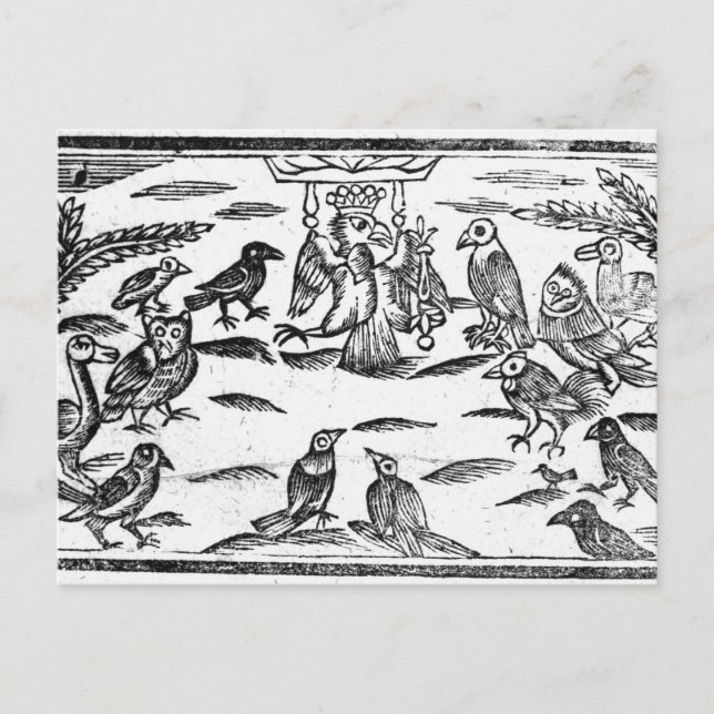 The Woody Choristers or The Birds Harmony Postcard (Front)