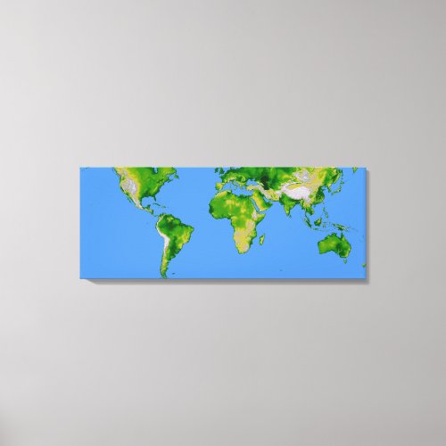 The World Canvas Print