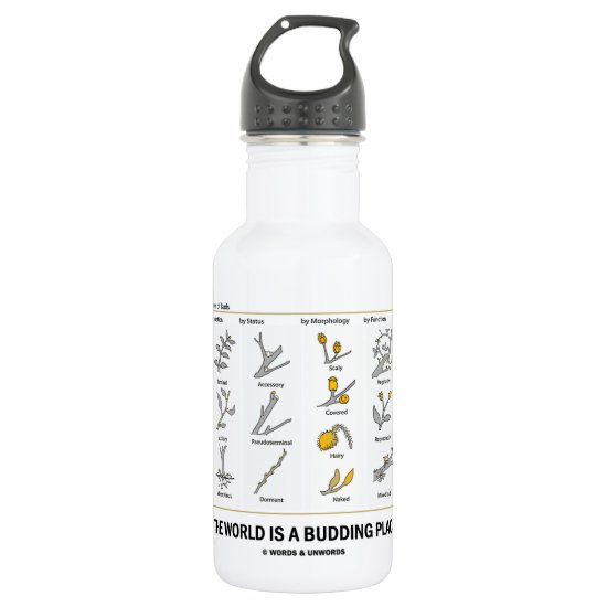 The World Is A Budding Place (Types Of Buds) Stainless Steel Water Bottle
